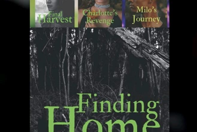 Review: Finding Home Trilogy
