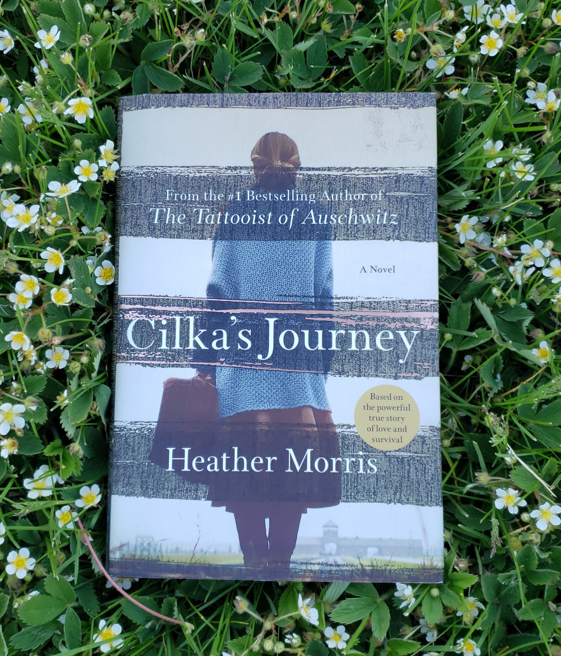 Review: Cilka’s Journey