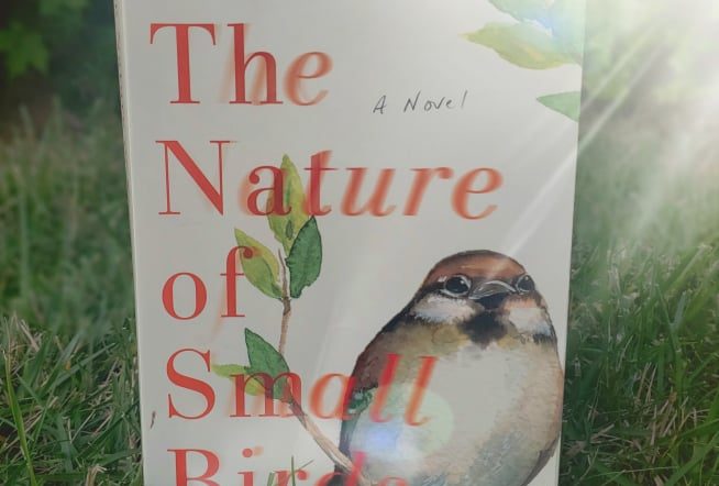 Review: The Nature of Small Birds